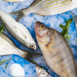 FISH image